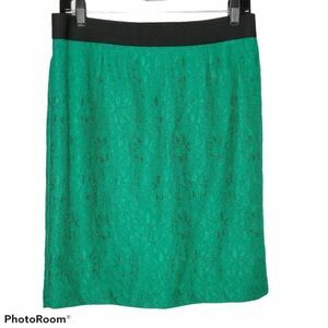 NEW Alfani Lace Pencil Skirt Green Sz 10P Metal Zip Closure Elastic Waist